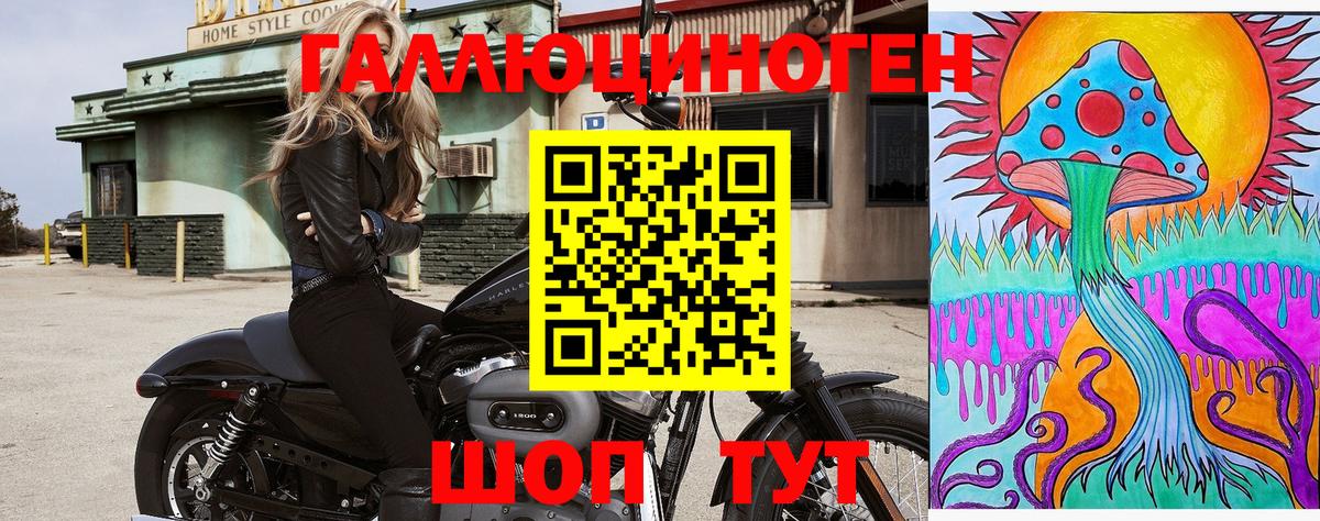Псилоцибиновые грибы мухоморы Абакан