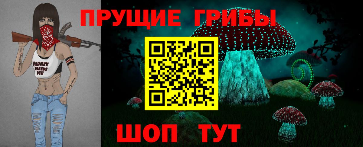 Псилоцибиновые грибы Psilocybe  где найти   Галлюциногенные грибы прущие грибы  Абакан  Вход с VPN 